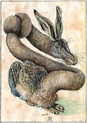 Nächster Cartoon: Hase nach Albrecht Dürer Nächster Cartoon